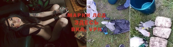 прущая мука Алзамай