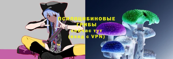 прущая мука Алзамай