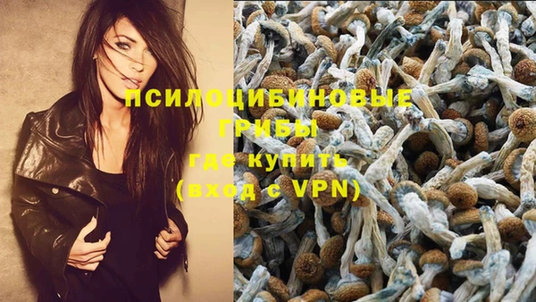 прущая мука Алзамай
