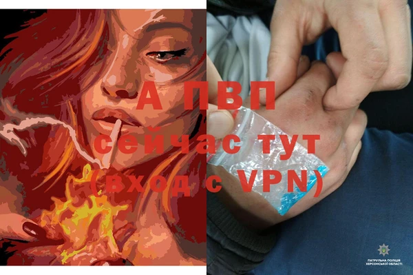трава Алексеевка