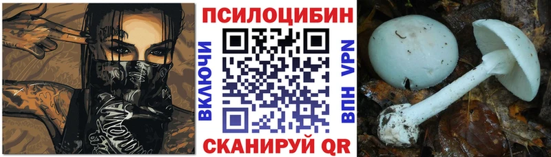 Галлюциногенные грибы Cubensis  Нурлат 