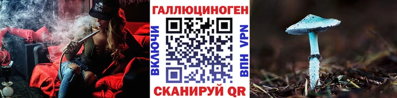 Галлюциногенные грибы Psilocybine cubensis Нурлат